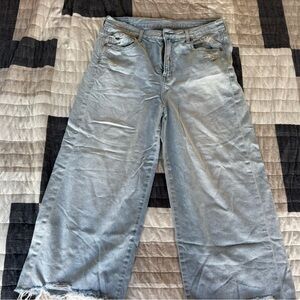 American Eagle Outfitters Wide Leg Crop Jeans